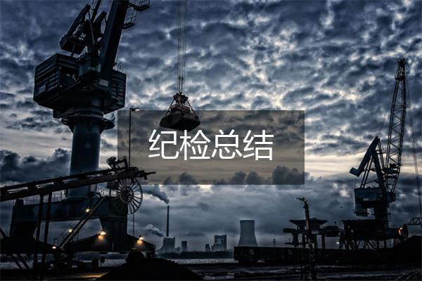 年度纪检监察干事个人总结